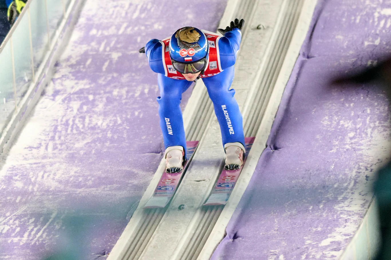 Skoczek narciarski w niebieskim kombinezonie i kasku, pochylony do przodu, zjeżdża po torze rozbiegowym podczas zawodów na skoczni pokrytej fioletowym śniegiem.
