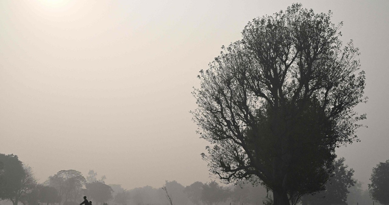 Przejdź na stronę główną INTERIA.PL
