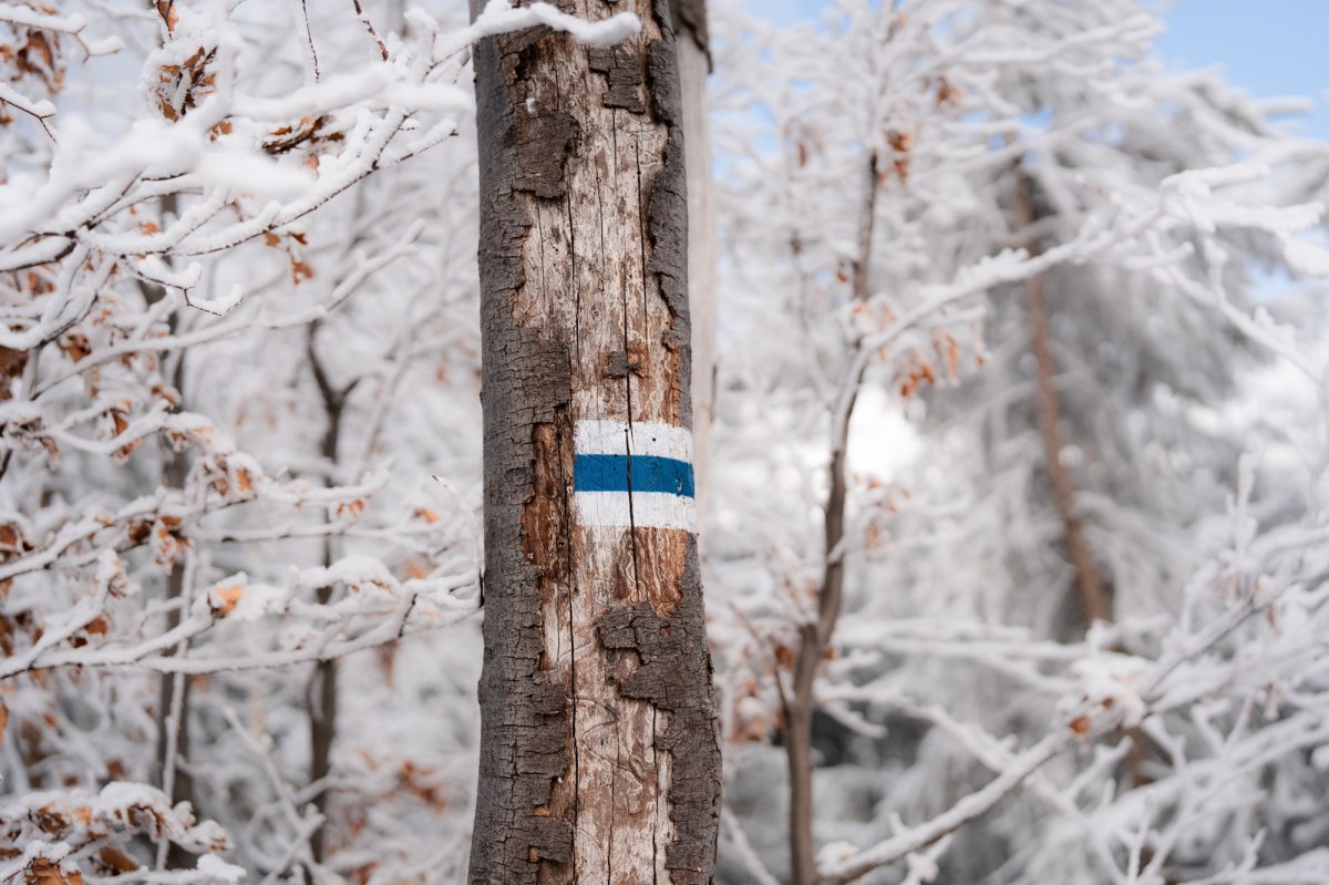 ​Tragiczny wypadek w Zwardoniu. Turysta zmarł na szlaku w noc sylwestrową