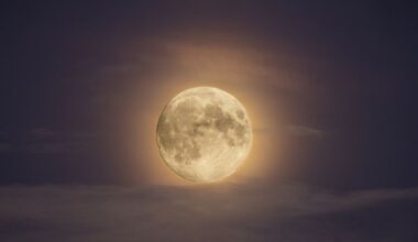 Pełnia księżyca w styczniu 2026. Co zwiastuje Wilczy Księżyc?