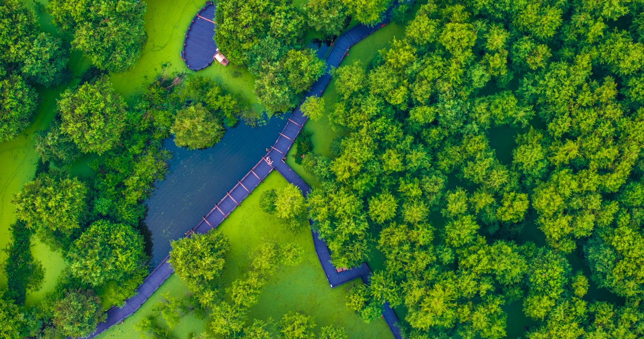 Przejdź na stronę główną INTERIA.PL