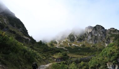 Przejdź na stronę główną INTERIA.PL