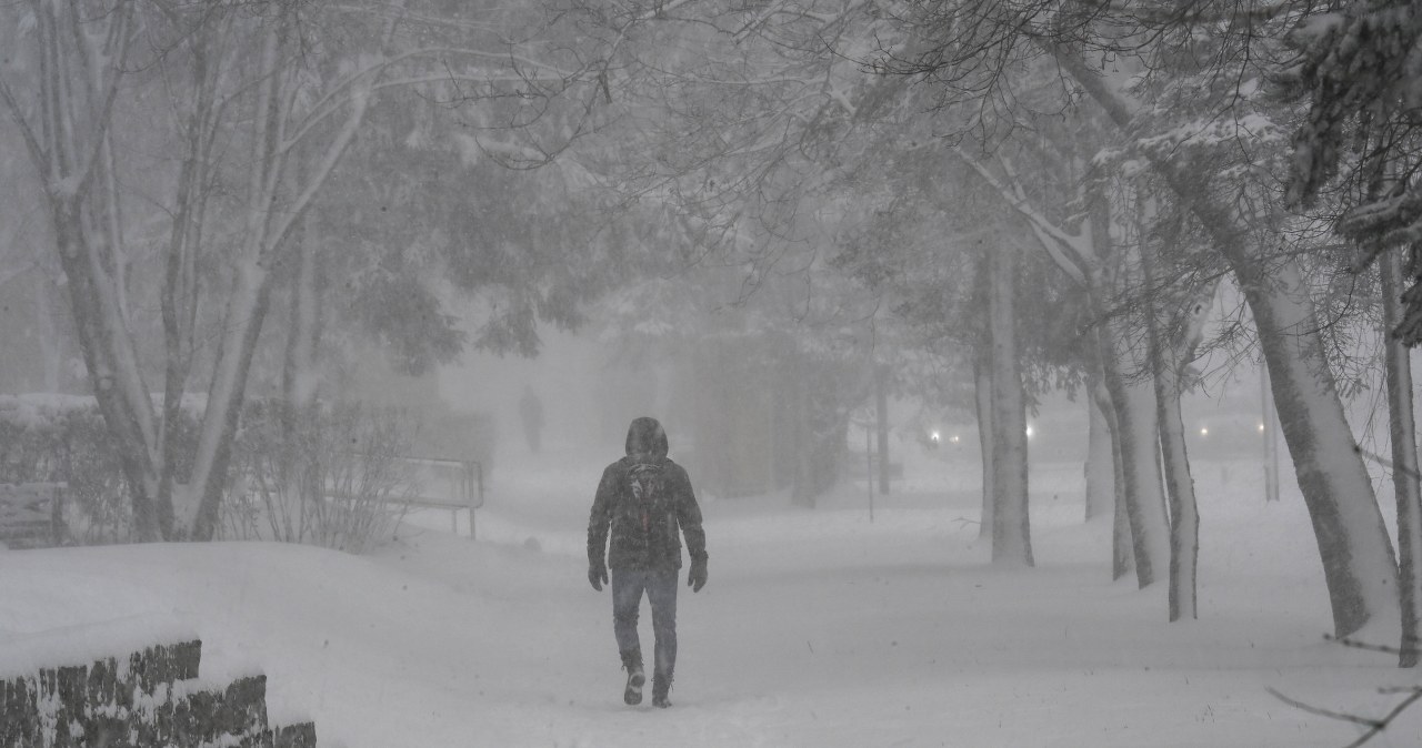 Przejdź na stronę główną INTERIA.PL