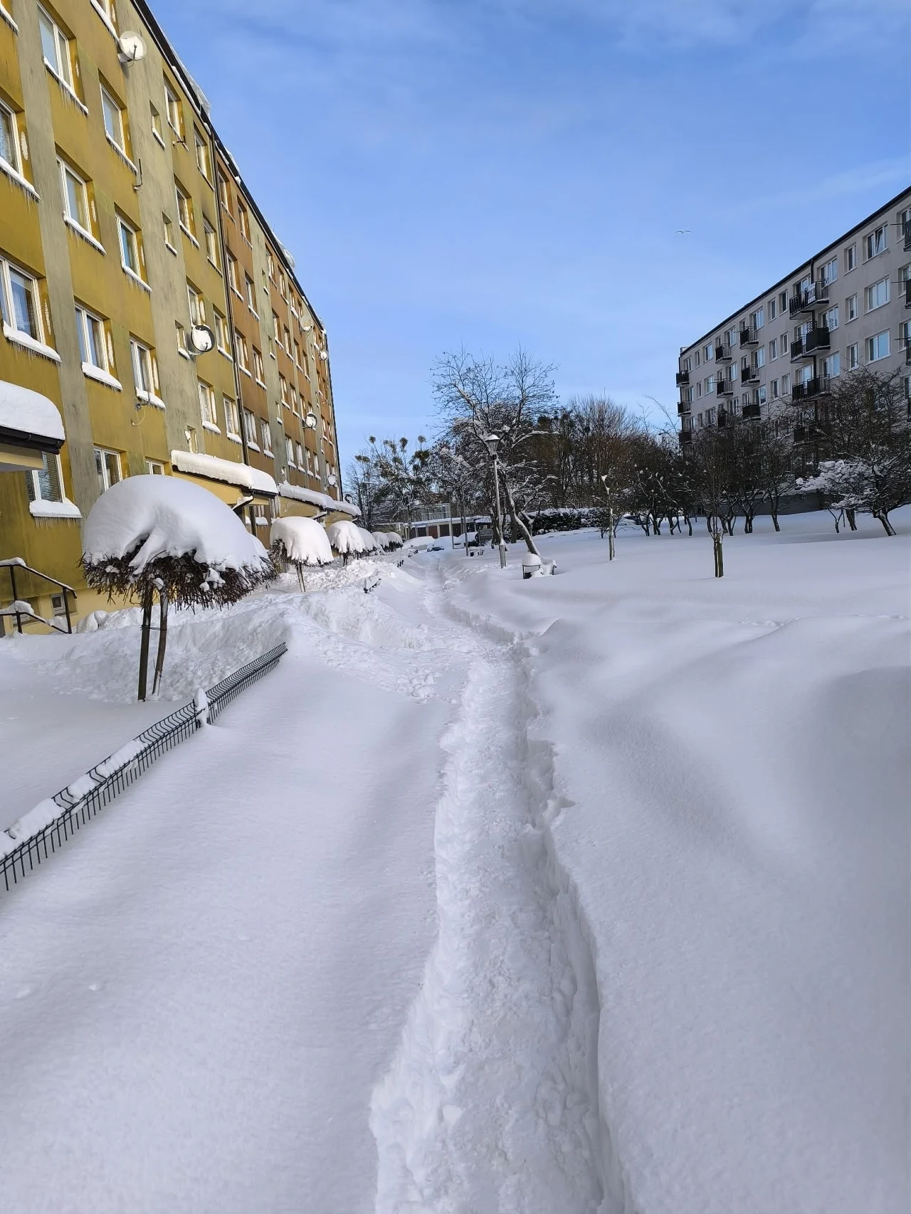 Wąska udeptana ścieżka prowadząca przez zasypane śniegiem podwórko między dwoma blokami mieszkalnymi, okna w budynkach częściowo zasłonięte śniegiem, na krzewach białe czapy śniegu, niebo bezchmurne z delikatnym błękitem.