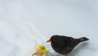 Przejdź na stronę główną INTERIA.PL