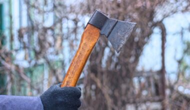Koniec śledztwa ws. 2 zabójstw w Lipianach. Wniosek o umorzenie postępowania