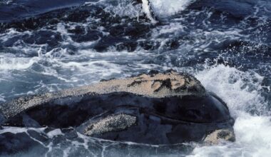 Przejdź na stronę główną INTERIA.PL