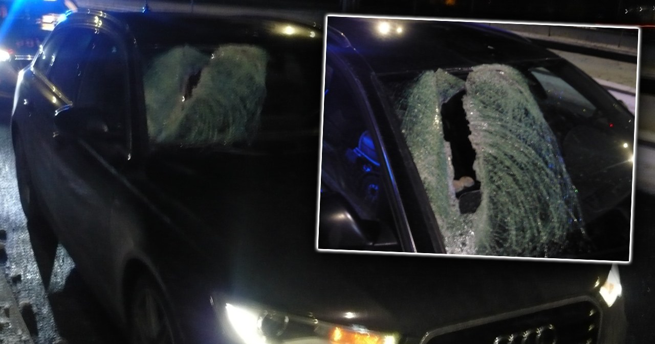 Przejdź na stronę główną INTERIA.PL