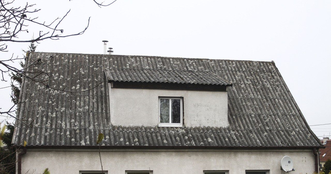 Przejdź na stronę główną INTERIA.PL