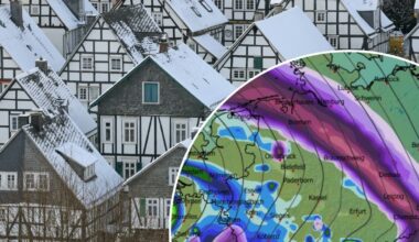 Przejdź na stronę główną INTERIA.PL