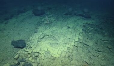 Przejdź na stronę główną INTERIA.PL