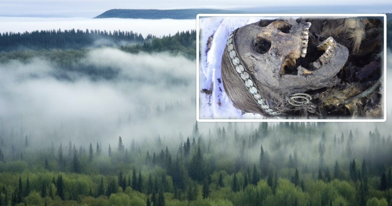 Nowy punkt widokowy w Krynicy. Takiej panoramy jeszcze tu nie było