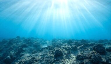 Ferie zimowe coraz bliżej. Te regiony przeżyją prawdziwe oblężenie