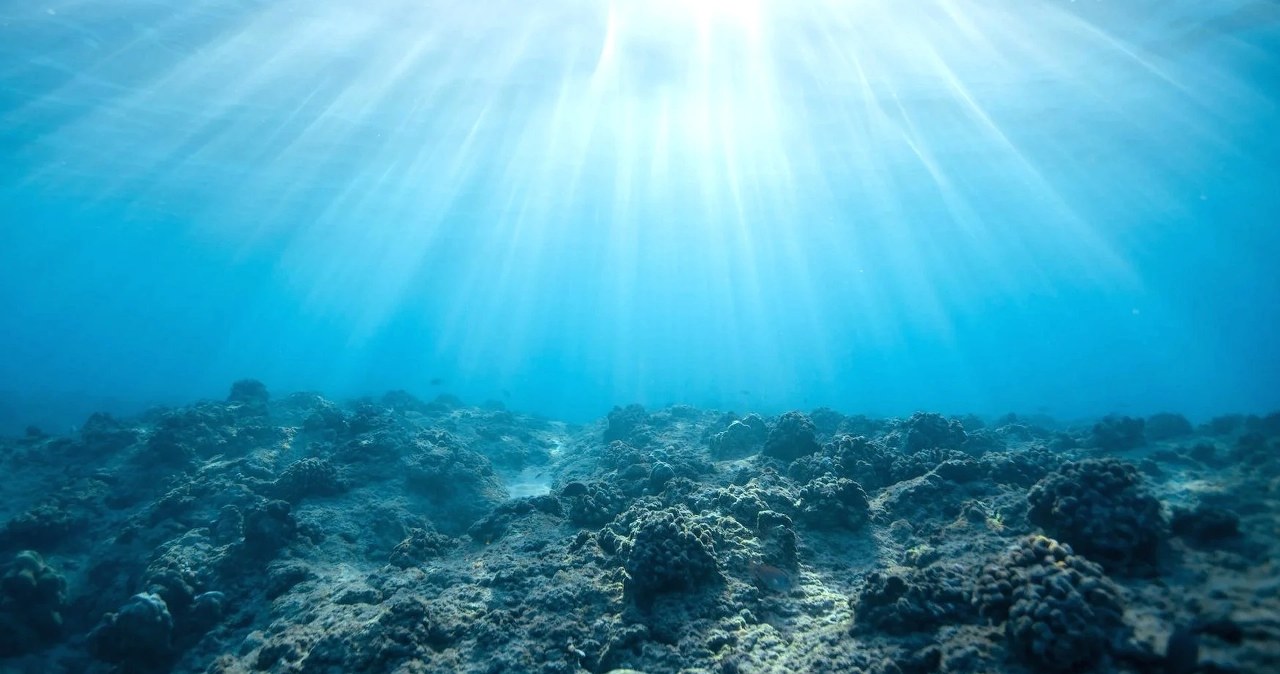 Ferie zimowe coraz bliżej. Te regiony przeżyją prawdziwe oblężenie