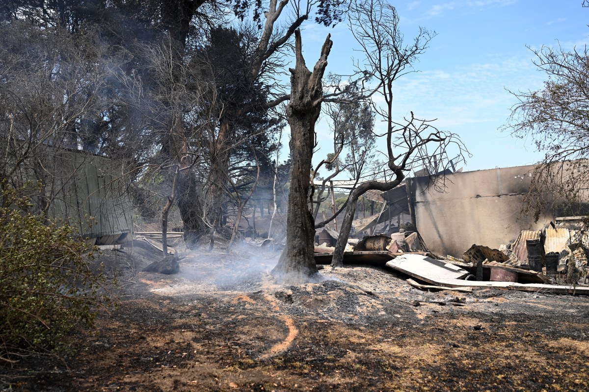 Żywioł szaleje w Australii. Trzy osoby zaginęły