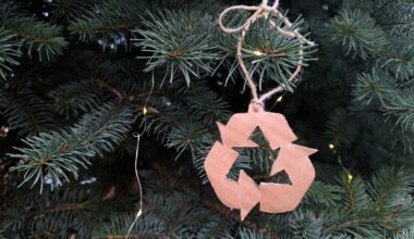 Warszawa: Choinka? Co z nią zrobić po świętach?