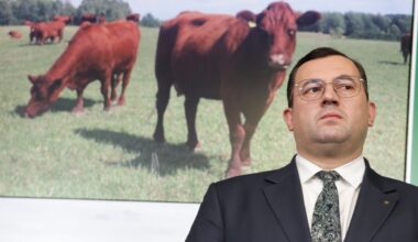 Rozlał gnojowicę przed domem Stefana Krajewskiego