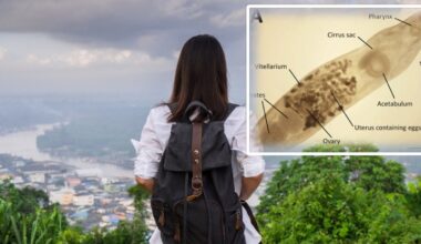 Subskrypcje będą wszędzie? Jak firmy odbierają nam własność