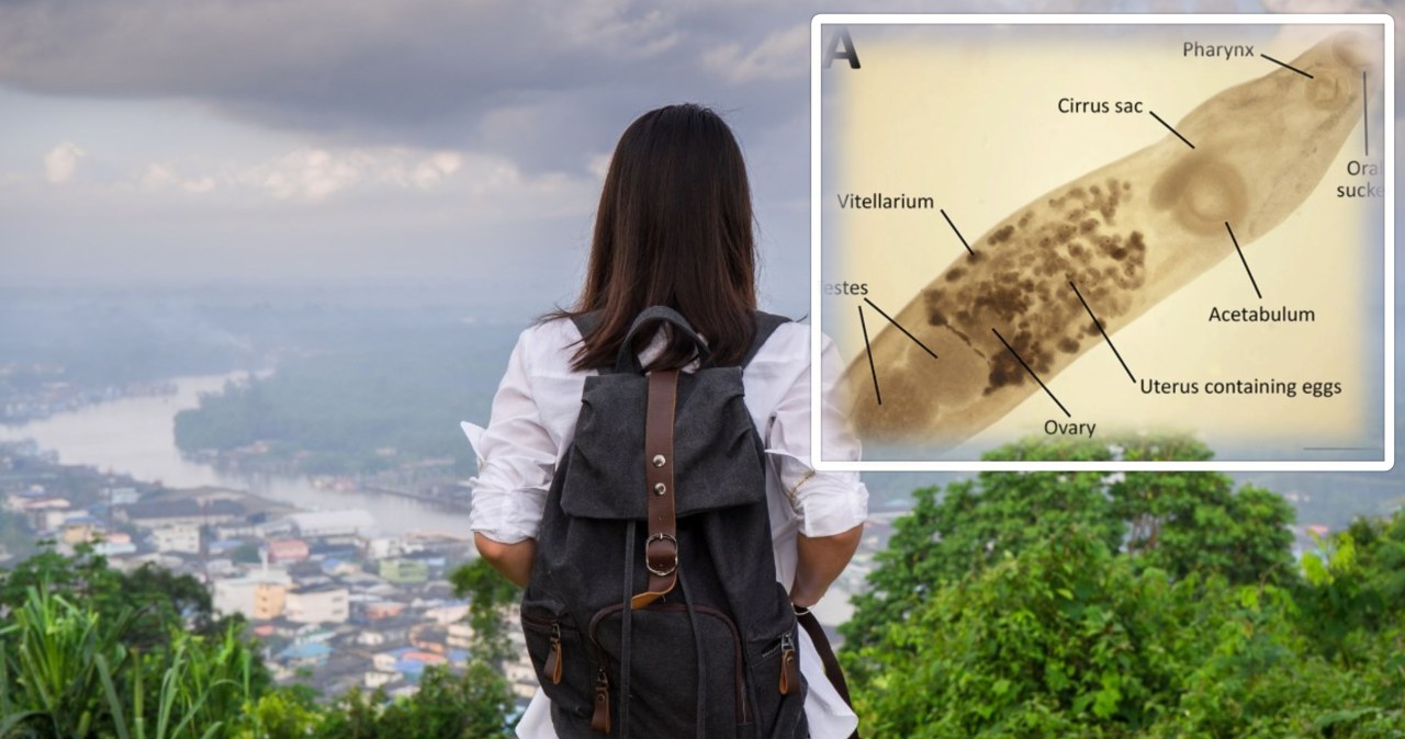 Subskrypcje będą wszędzie? Jak firmy odbierają nam własność