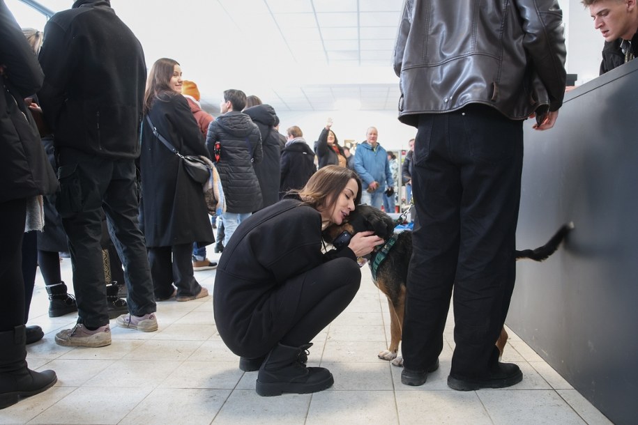 Akcja wydawania psów do tymczasowej adopcji w Schronisku dla Bezdomnych Zwierząt w Krakowie. /	Łukasz Gągulski /PAP
