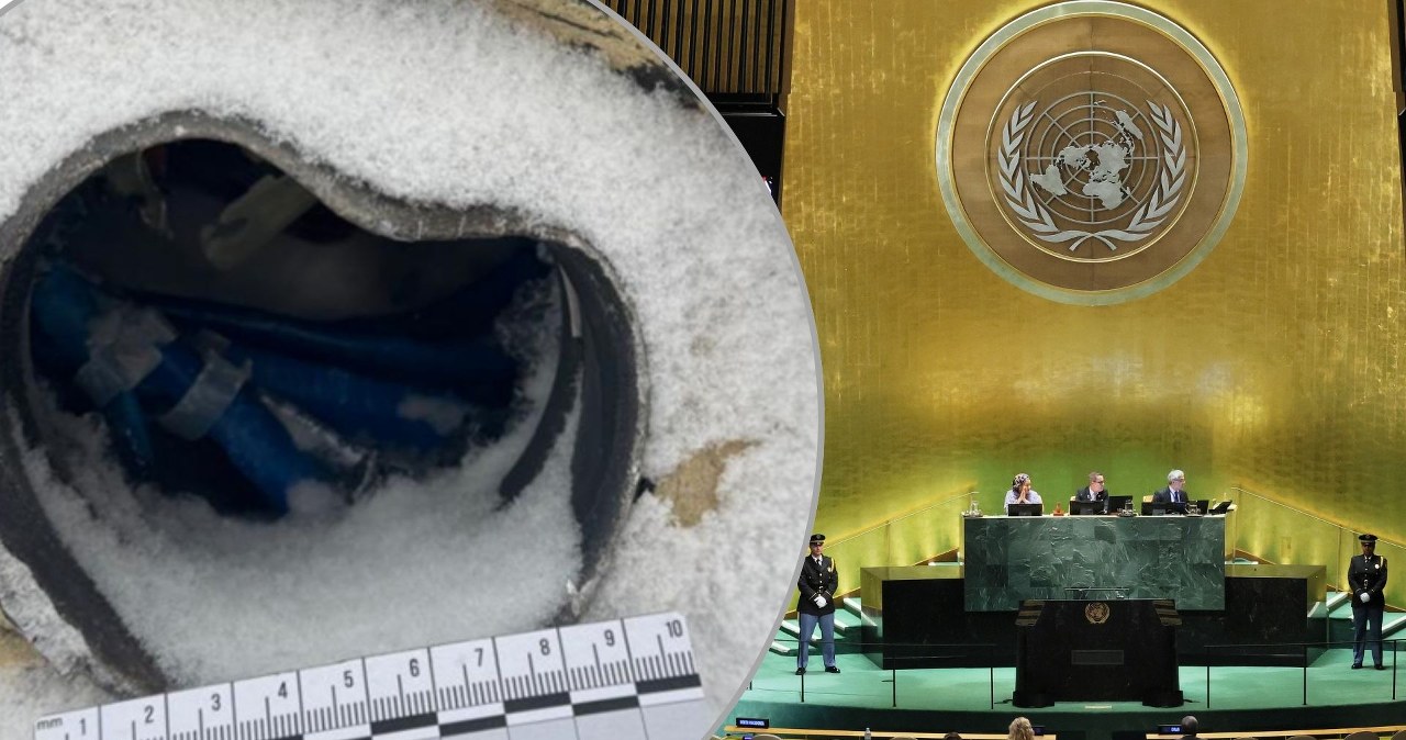 Przejdź na stronę główną INTERIA.PL