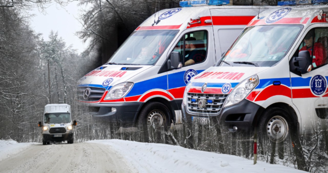 Przejdź na stronę główną INTERIA.PL