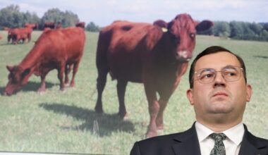 Przejdź na stronę główną INTERIA.PL