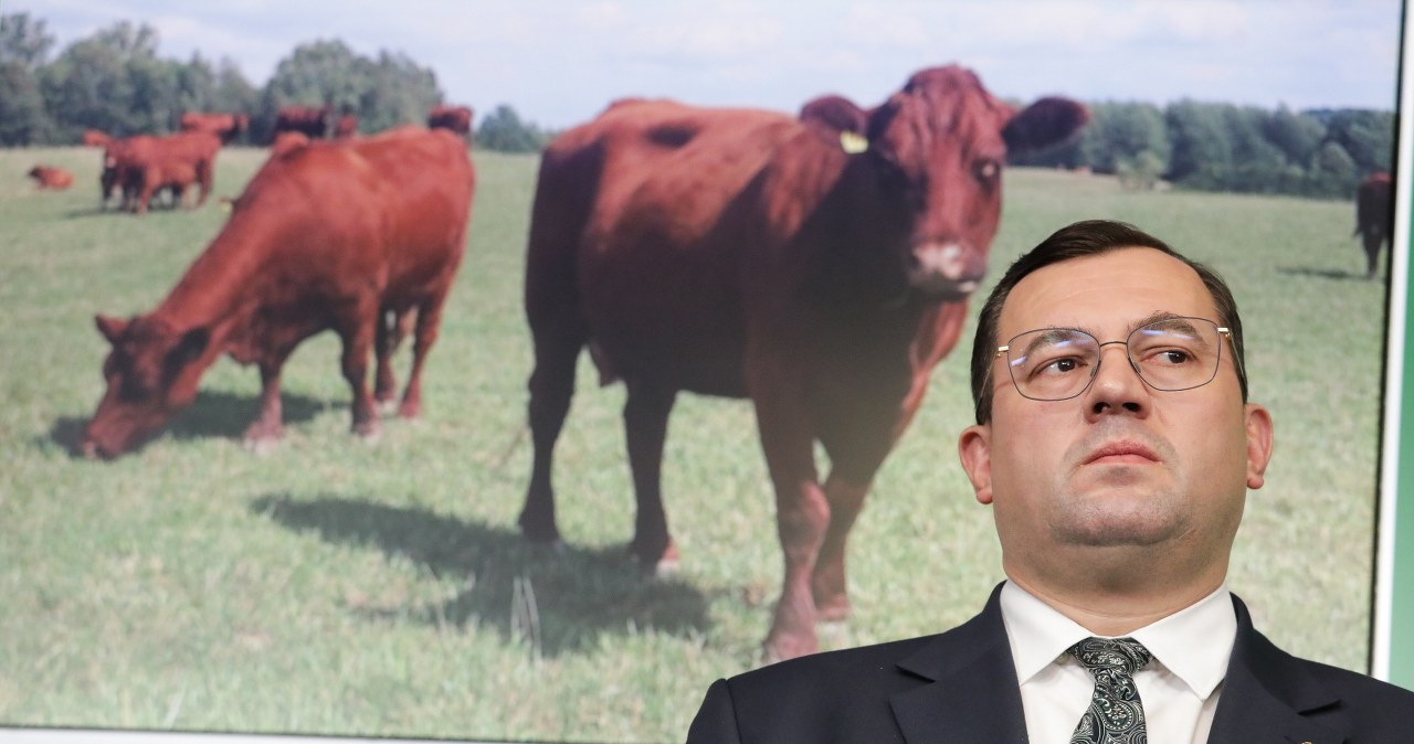 Przejdź na stronę główną INTERIA.PL