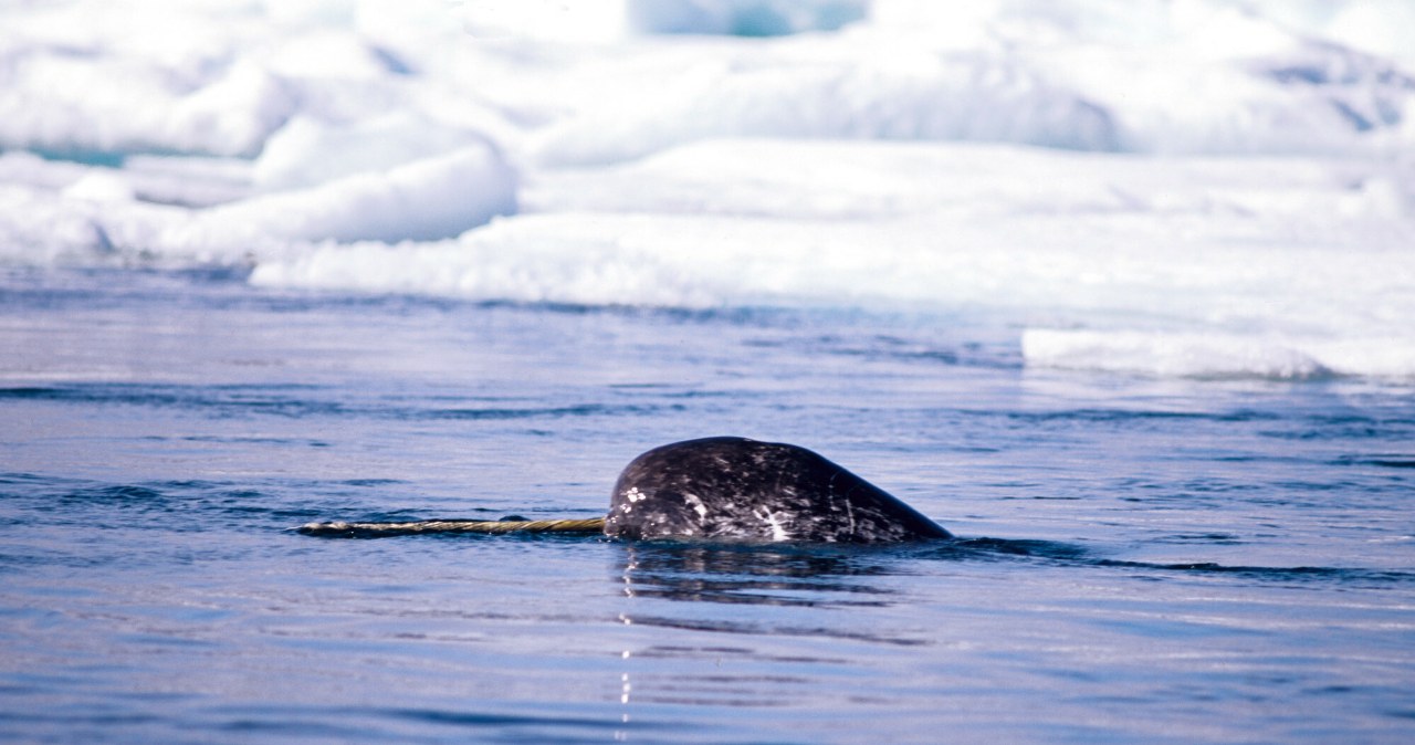 Przejdź na stronę główną INTERIA.PL