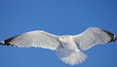 Przejdź na stronę główną INTERIA.PL