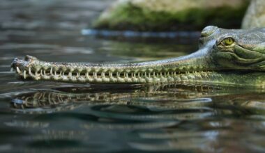 Przejdź na stronę główną INTERIA.PL