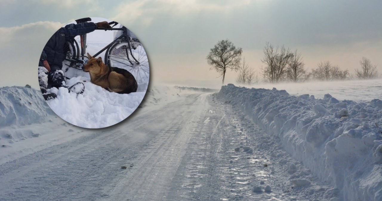 Przejdź na stronę główną INTERIA.PL