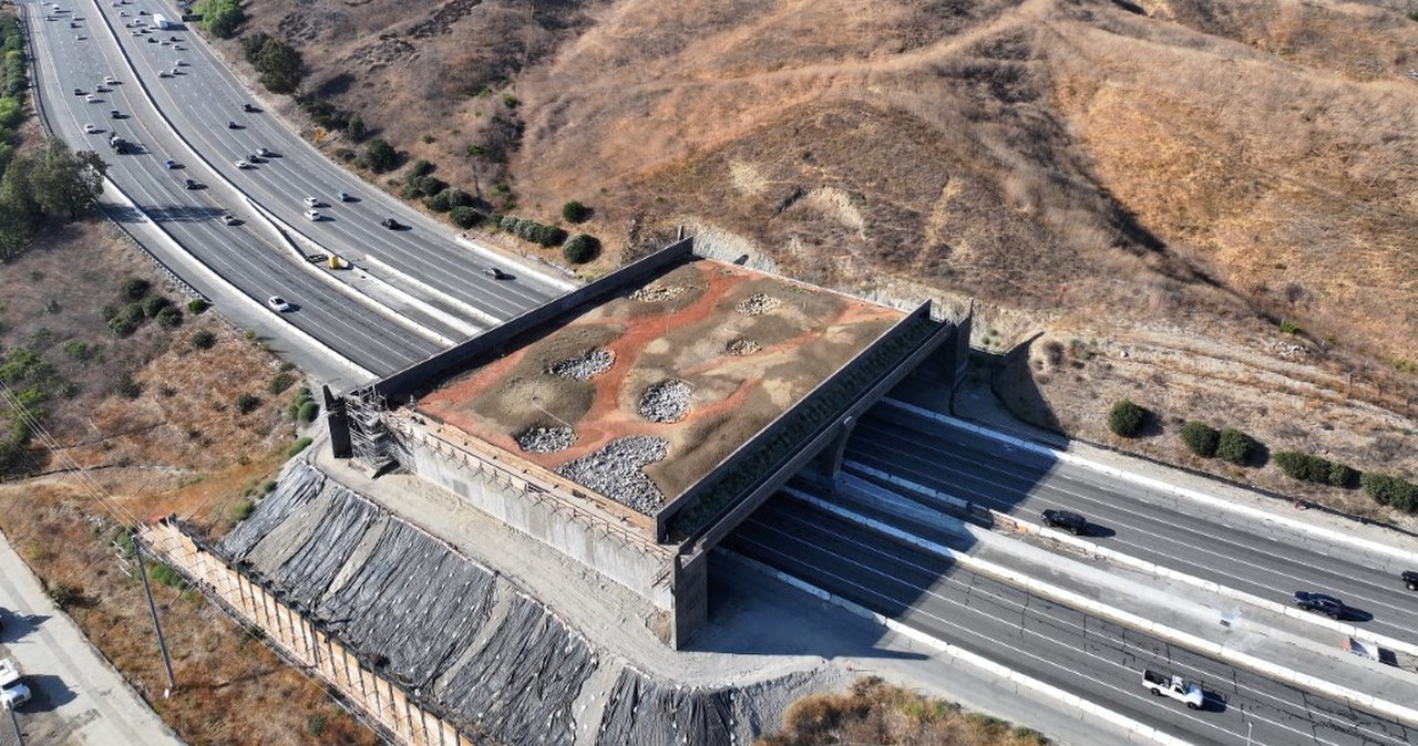 Przejdź na stronę główną INTERIA.PL