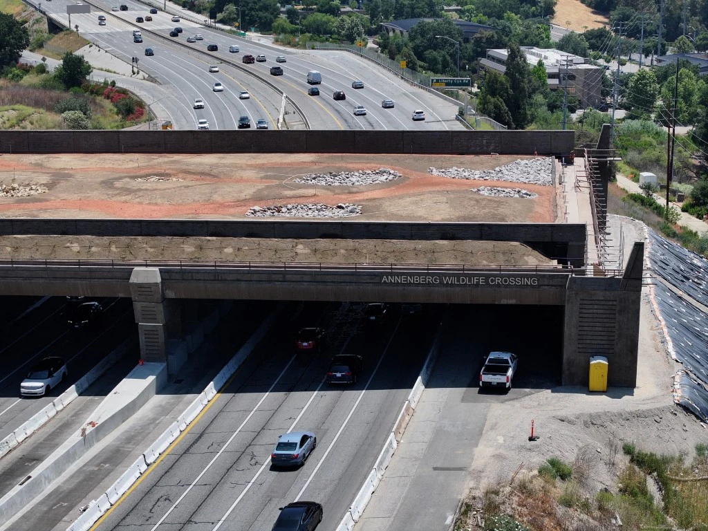 Przejście dla dzikich zwierząt w formie mostu nad autostradą z widocznymi pasami zieleni oraz skałami, umożliwiające bezpieczne przekraczanie drogi przez zwierzęta. Poniżej znajduje się wielopasmowa autostrada z jadącymi samochodami.
