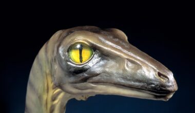 Przejdź na stronę główną INTERIA.PL