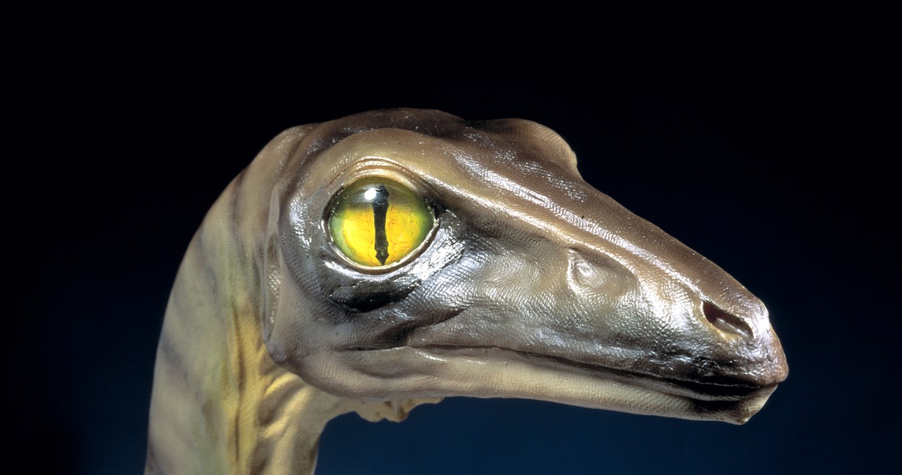 Przejdź na stronę główną INTERIA.PL