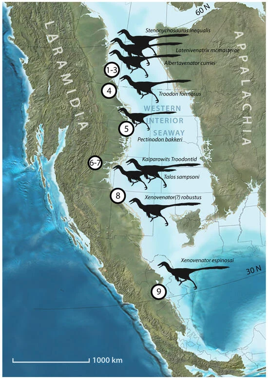 Mapa paleogeograficzna Ameryki Północnej z okresu kredy, ukazująca pradawny szelf morski Western Interior Seaway oraz rozmieszczenie różnych gatunków dinozaurów teropodów, oznaczonych nazwami naukowymi i sylwetkami.