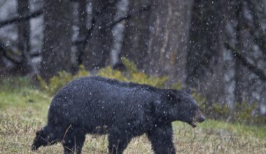 Przejdź na stronę główną INTERIA.PL