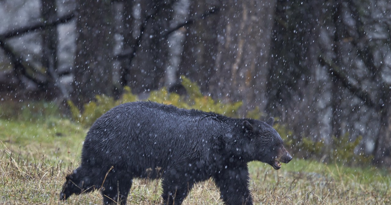 Przejdź na stronę główną INTERIA.PL