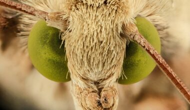 Przejdź na stronę główną INTERIA.PL