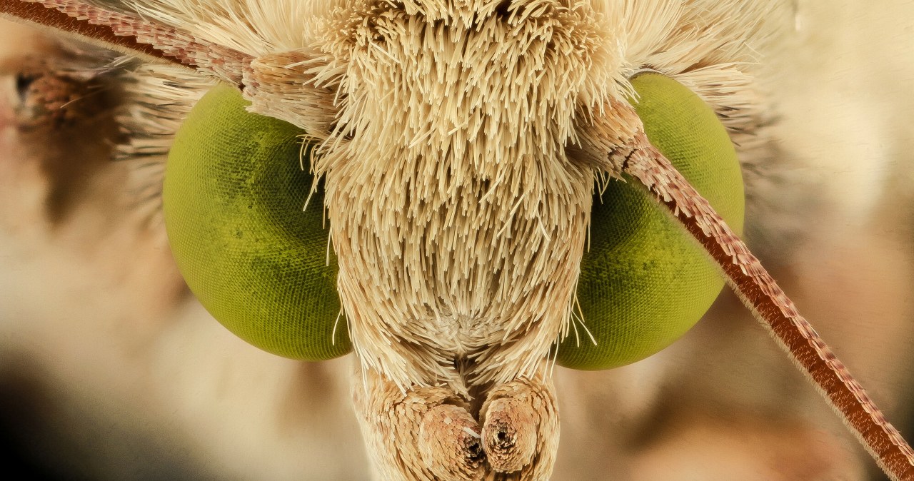 Przejdź na stronę główną INTERIA.PL