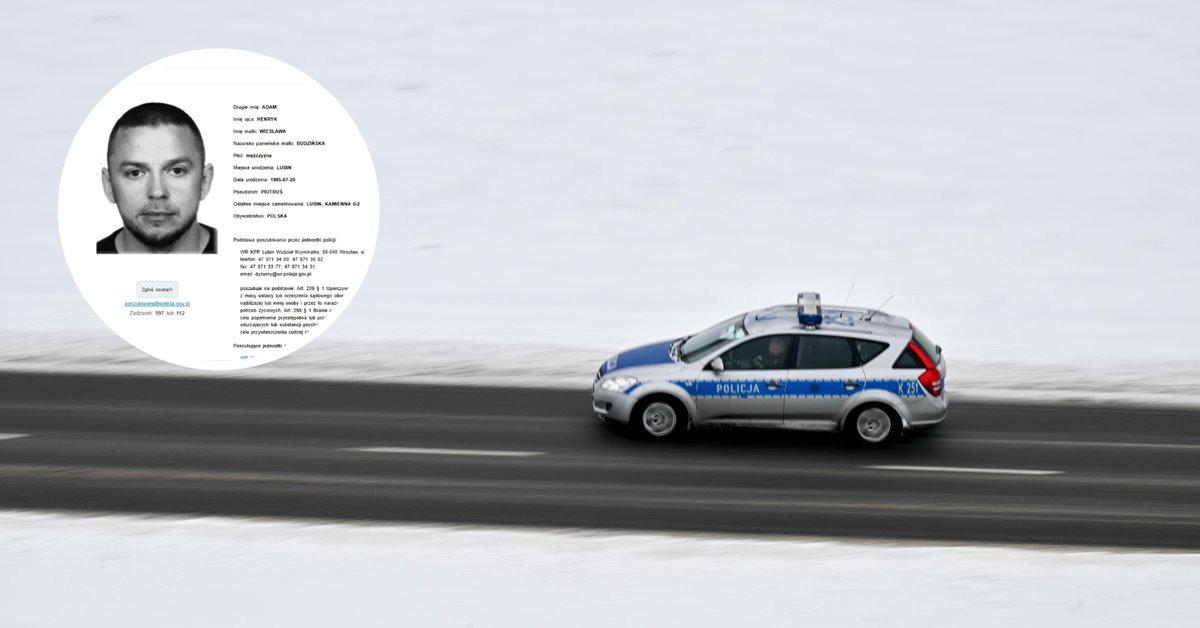 Nabici w samochody od "Piotrusia". Oszukani mogli łącznie stracić nawet ponad 100 mln zł