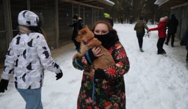 Schroniska dla zwierząt pod lupą. Nieprawidłowości w 40 placówkach