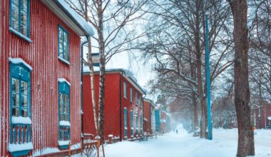 Minus 41,5 stopnia w Finlandii. Mrozy generują najwyższy w historii pobór energii