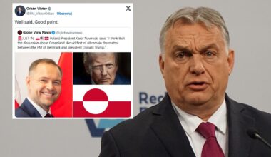 Orban o słowach Nawrockiego ws. Grenlandii. "W punkt!"