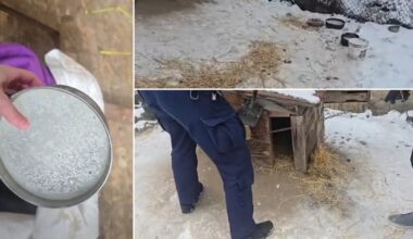 Wstrząsająca interwencja służb w gminie Lubsko. "Dziś człowieczeństwo się skończyło"