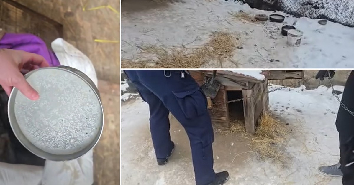 Wstrząsająca interwencja służb w gminie Lubsko. "Dziś człowieczeństwo się skończyło"