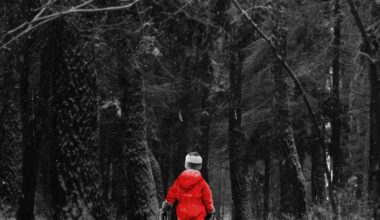 Wyrzucą. Do lasu, jak śmieci. Wszystkich. Dorosłych i dzieci