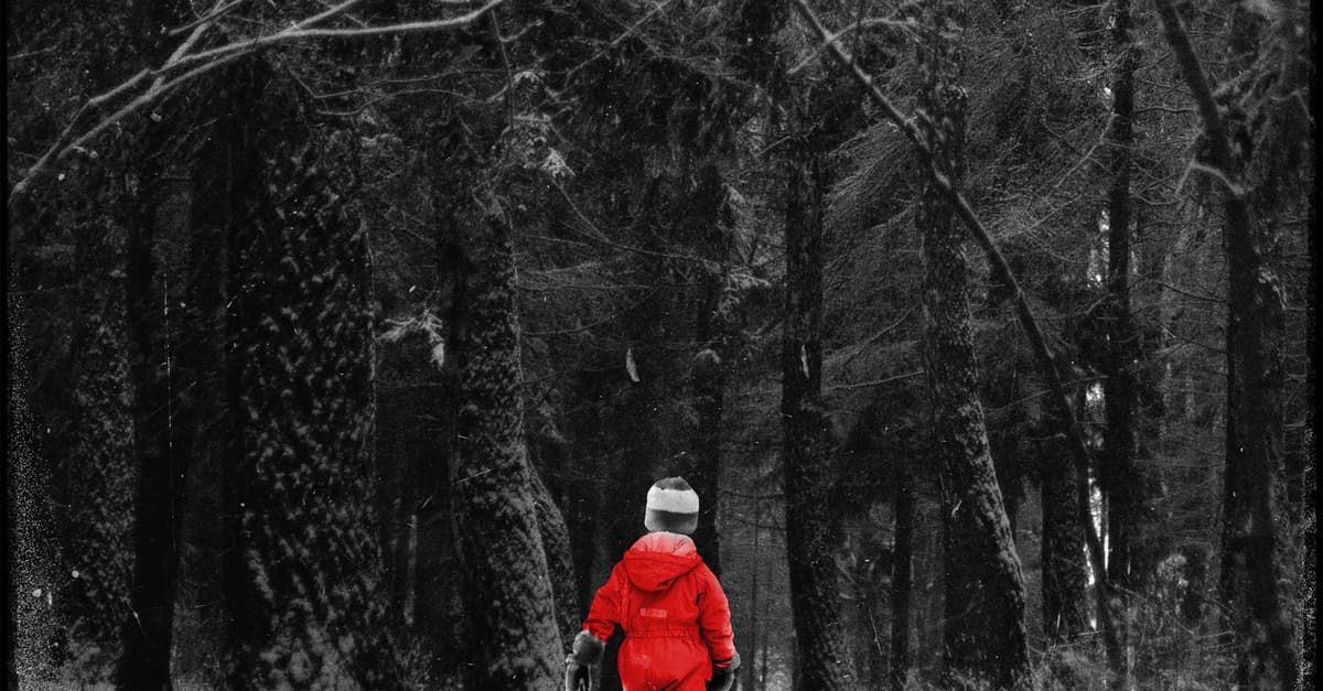 Wyrzucą. Do lasu, jak śmieci. Wszystkich. Dorosłych i dzieci