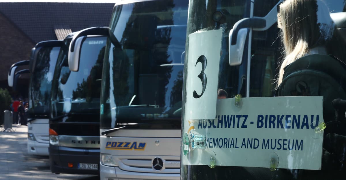 Na mrozie 5 godzin, w środku nocy". Jak wygląda wycieczka do Auschwitz